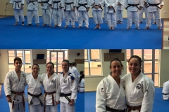 galeria_judo_adulto_01