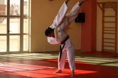 galeria_judo_adulto_05