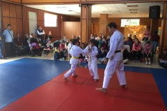 galeria_judo_infantil_01