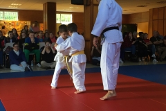 galeria_judo_infantil_02