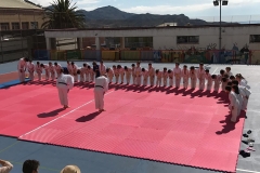 galeria_judo_infantil_09