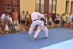 JiuJitsu_800x533_05